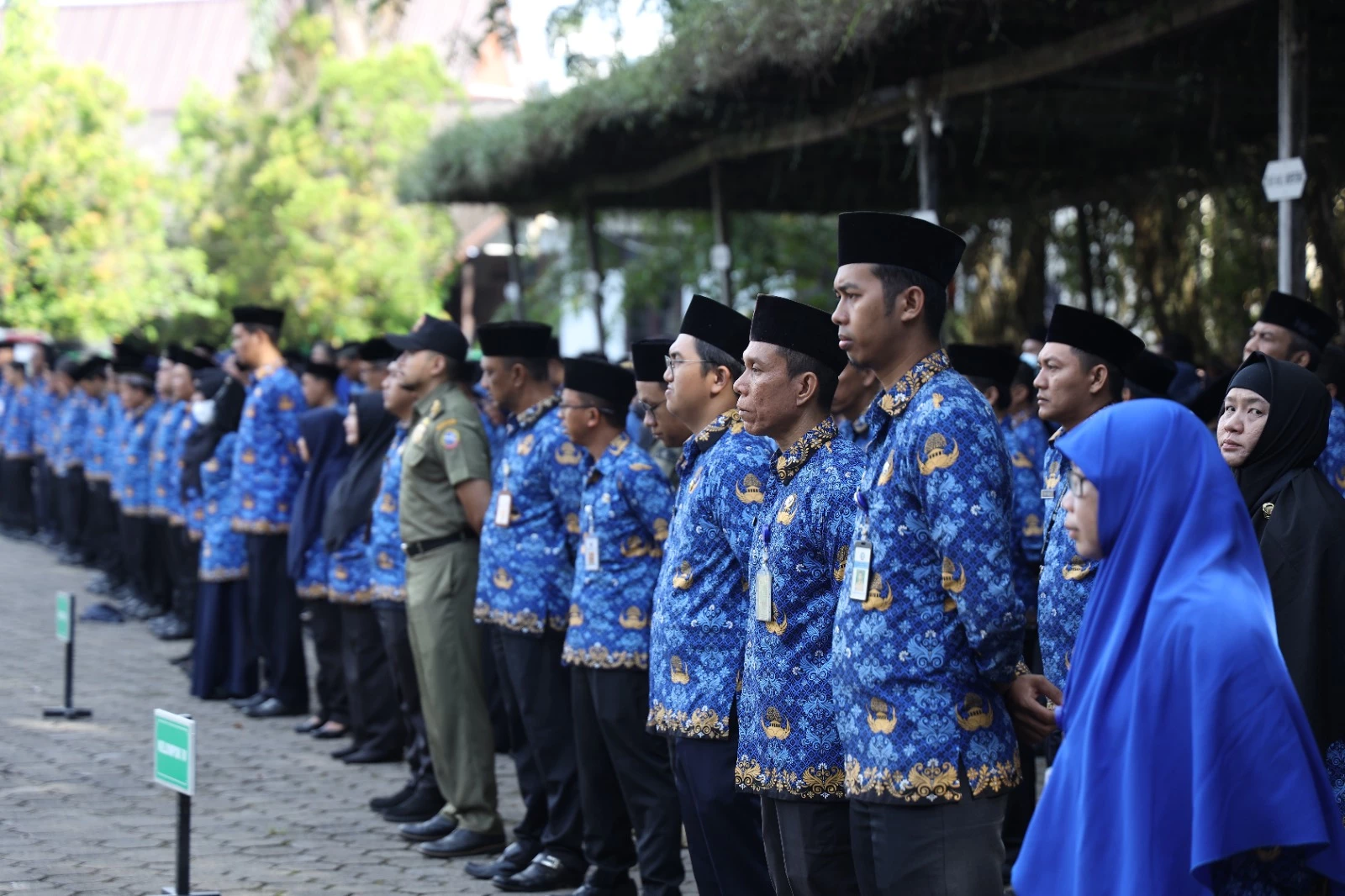 Pemkot Pontianak Resmi Umumkan Penerimaan CPNS, Ada 388 Formasi