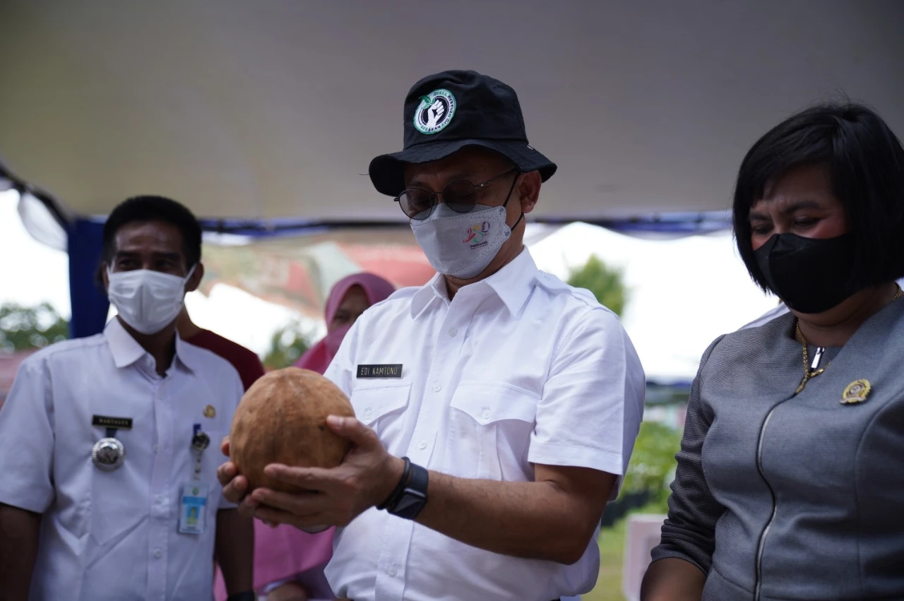 Mamey Sapote, Sawo Jumbo di Festival Hortikultura