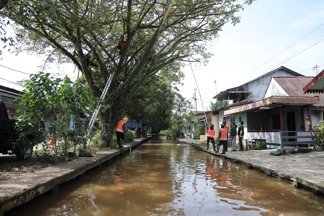 Rutin Tindaklanjuti Aduan Warga soal Perawatan Pohon