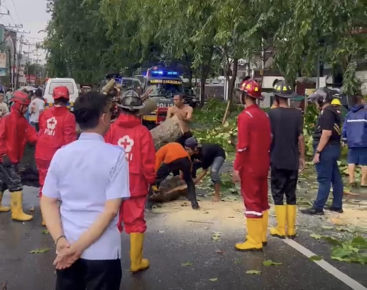 Edi Imbau Warga Waspadai Pohon Rawan Tumbang Saat Cuaca Ekstrem