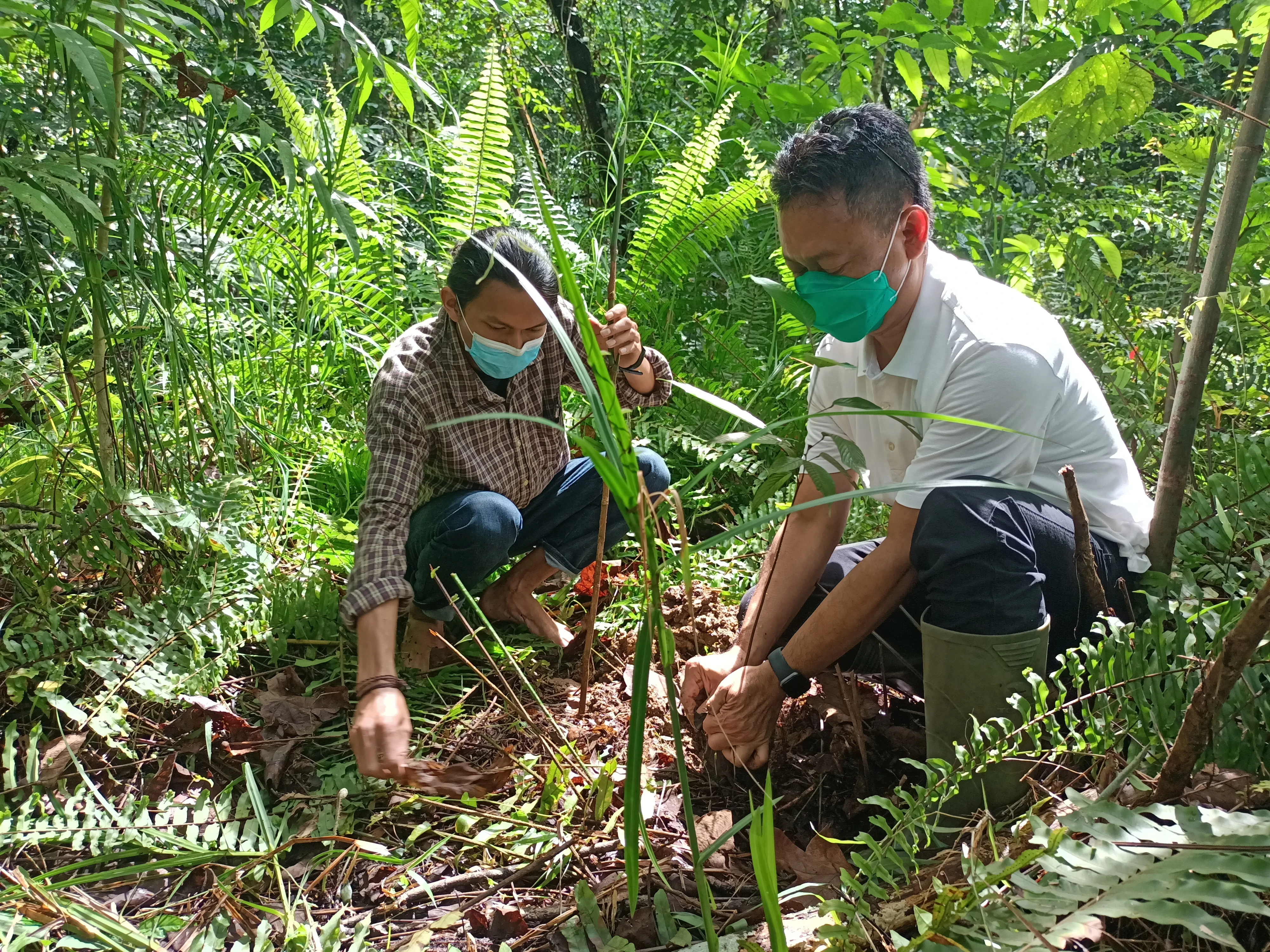 Produktif di Tengah Pandemi, Edi Ajak Warga Tanam Pohon